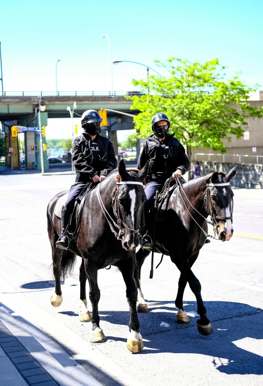 two mounted police patrol on horseback looking down the street