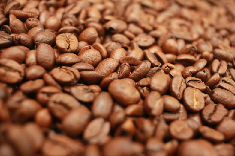 close up image of the grains in a coffee cup