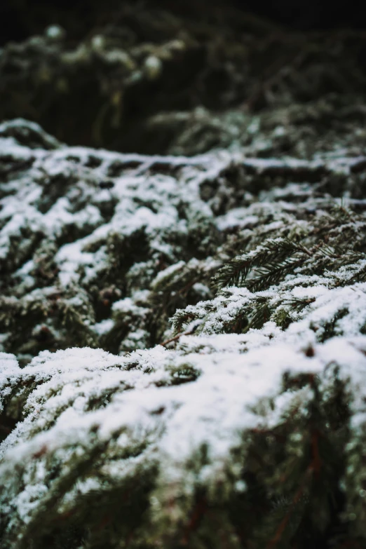 some very small rocks covered in snow