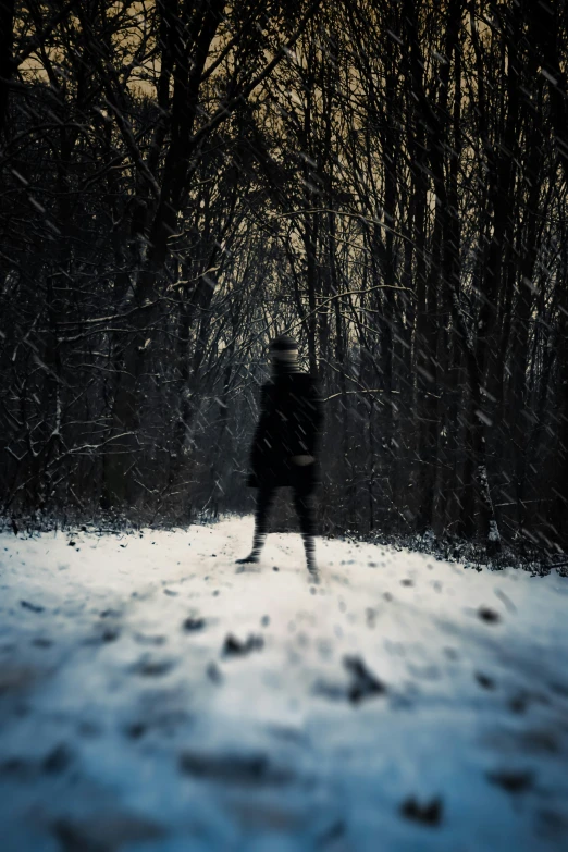 a person on skis is seen through the snow