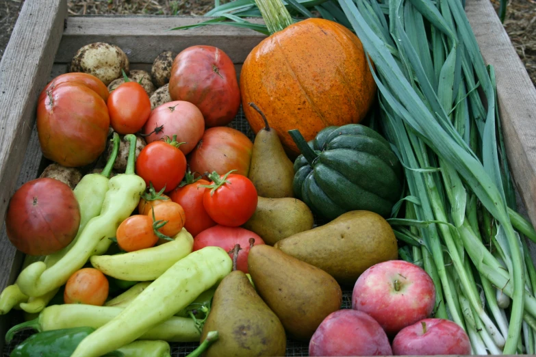 many different vegetables arranged in a box
