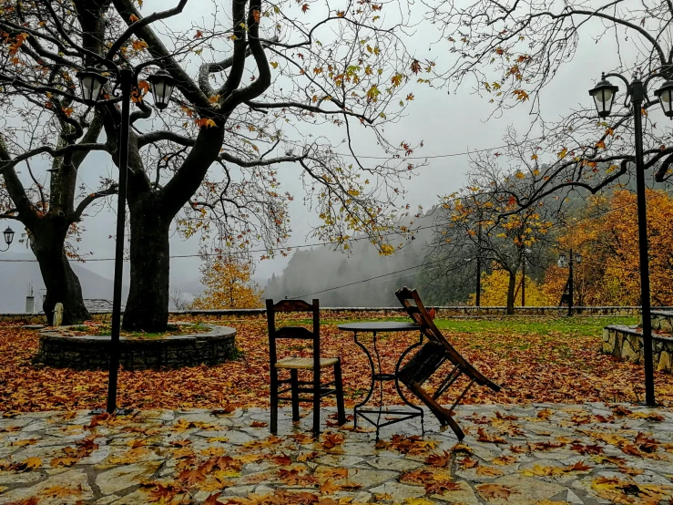 the park is covered in fall leaves and has a clock tower on top