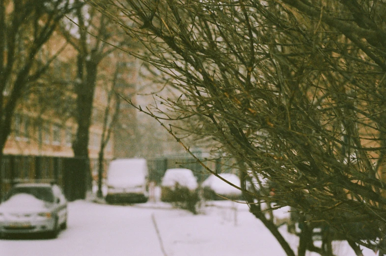 two snow covered cars parked on the side of a road