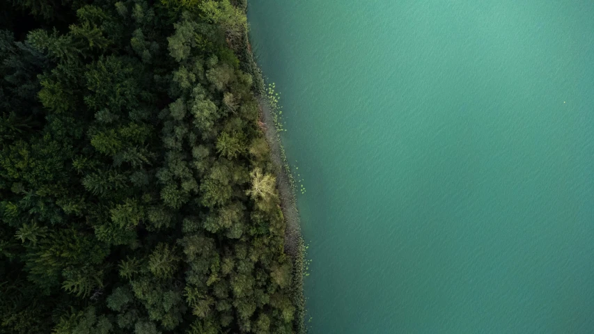 an aerial s of some water in the woods