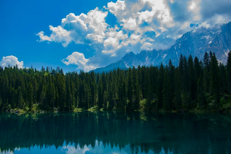 a body of water surrounded by lots of trees