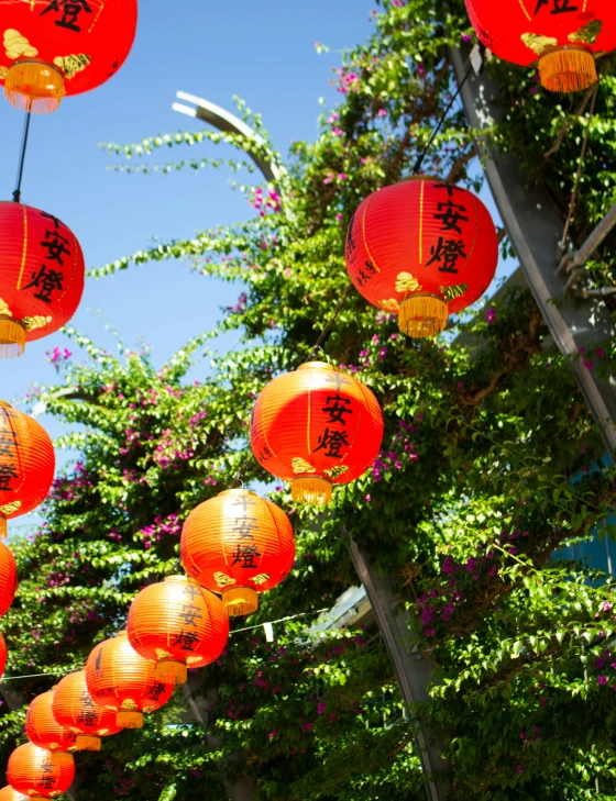 lanterns are hanging over trees with the sky above