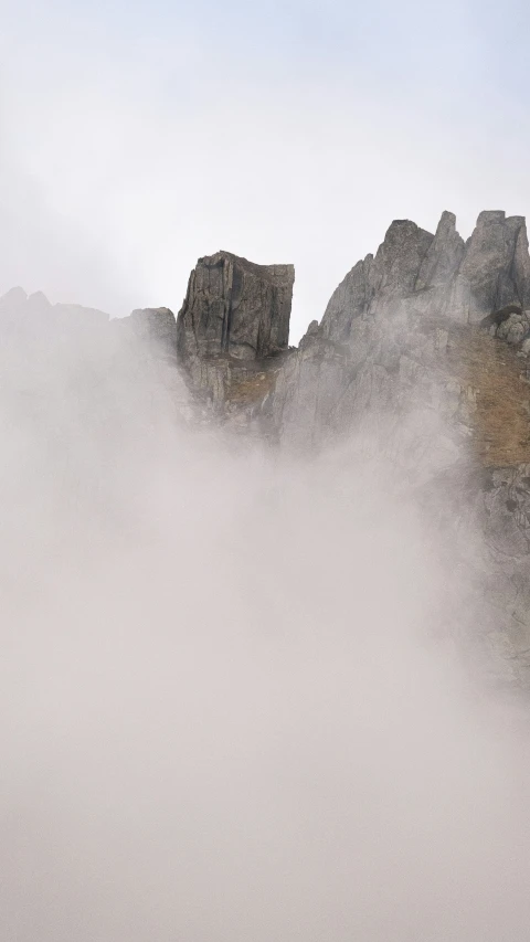 a foggy mountain slope with a horse in the foreground