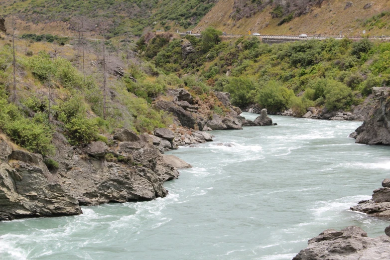 an uphill view of a river flowing near trees