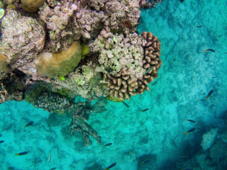 an aerial view of the coral reef of tropical waters