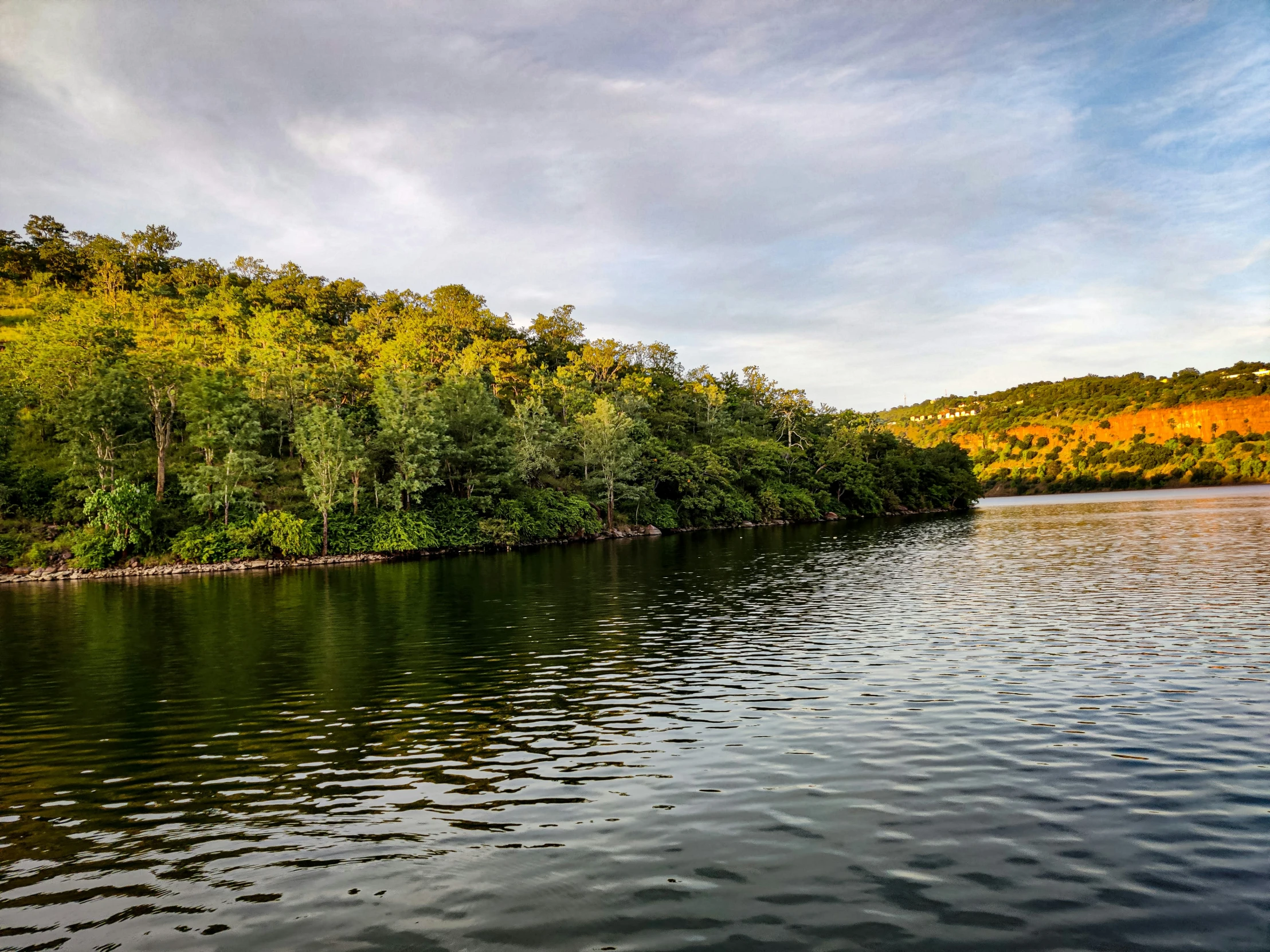 a tree filled shore with water and trees