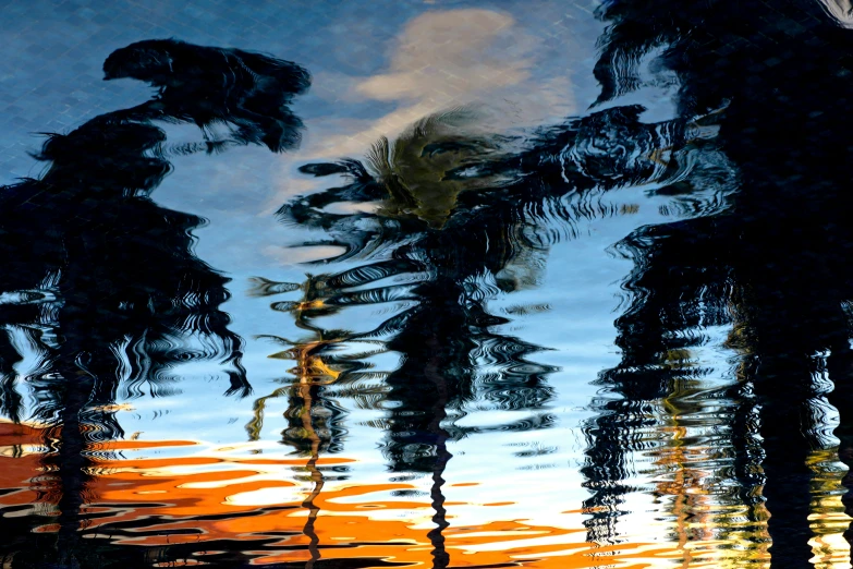 three palm trees in a pond that is reflecting the sky