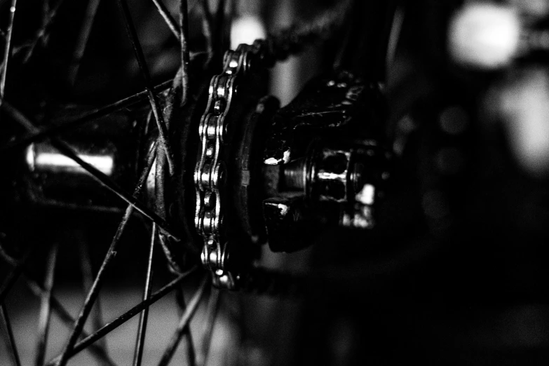 the front wheel and spokes of a bicycle