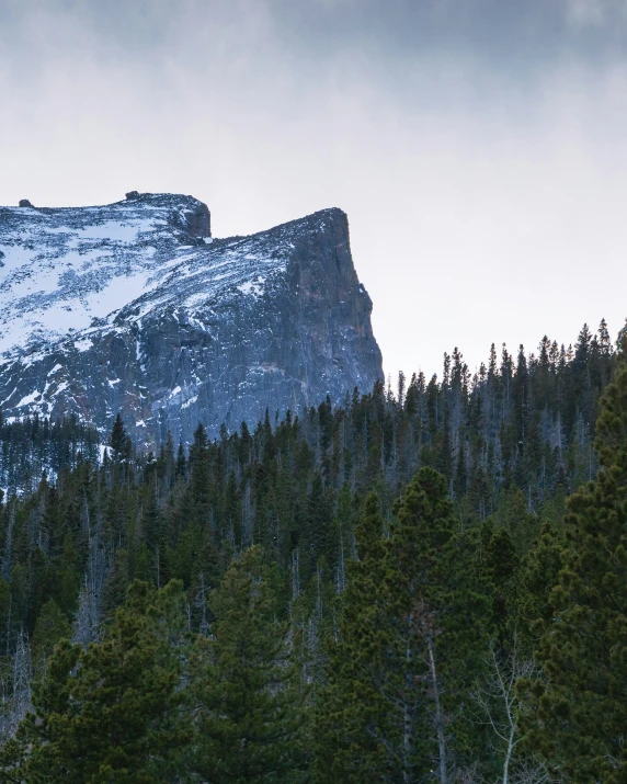 a snow capped mountain surrounded by evergreen forest