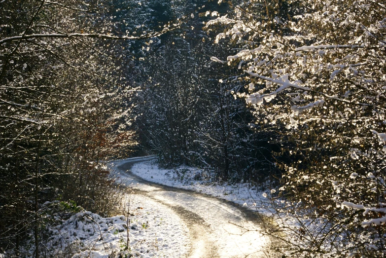 the sun is shining through the trees and snow