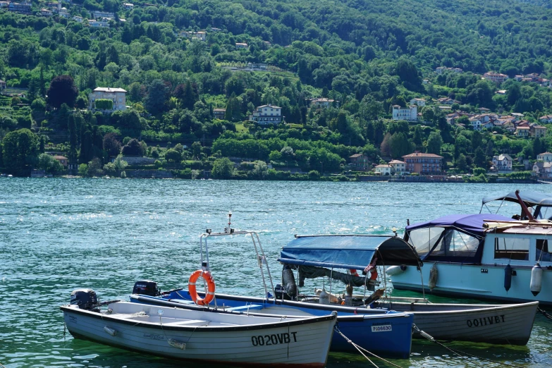 small boats in a bay surrounded by a green hill