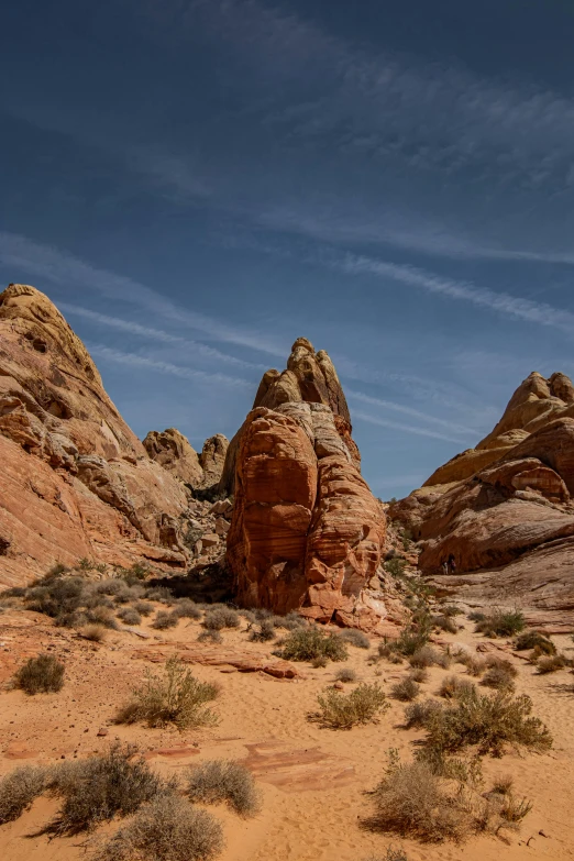 the rock formations are rocky and there is only one tree in sight