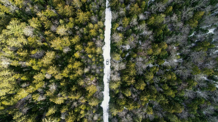 a view from above looking at an empty road surrounded by trees