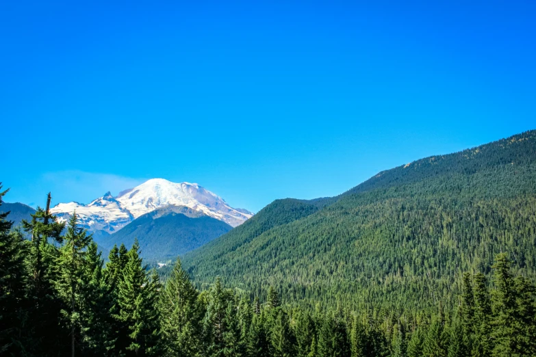 a beautiful day with the mountains and trees in the foreground