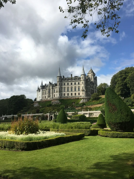 the landscape with the trees and bushes is green