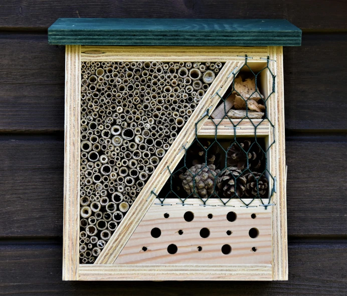 a beehive with holes in it, filled with bees