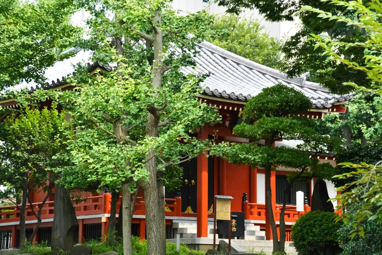 a wooden building with an asian style roof is surrounded by trees