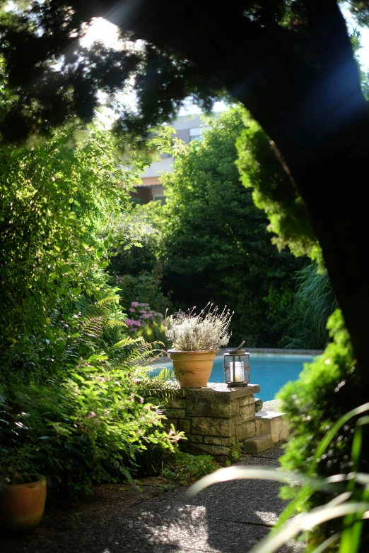 a patio with two potted plants and a small pool behind it