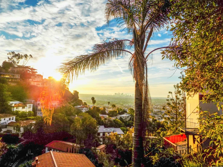 the sun shining down on a city and palm trees