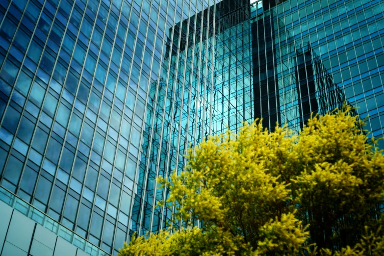 a view of the reflection of two skyscrs in a glass wall