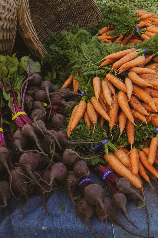 many varieties of vegetables are laid out on a cloth