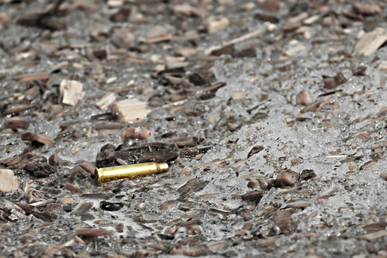 a plastic bullet lies on its side on the ground