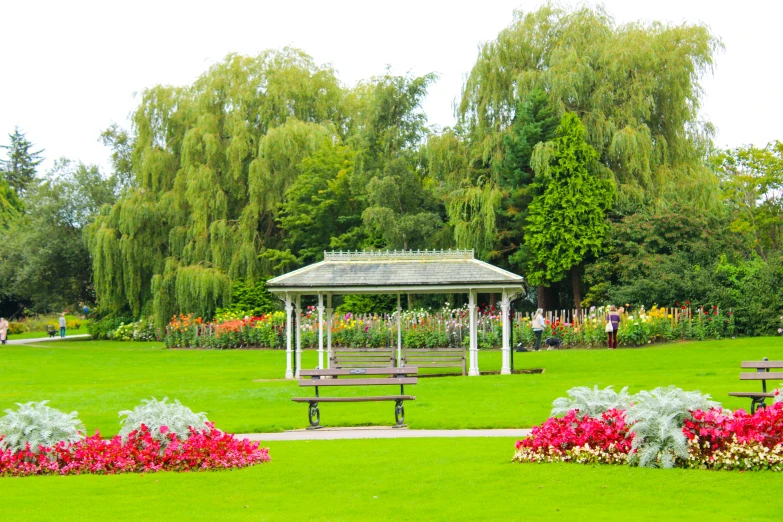 the park is full of blooming flowers and trees