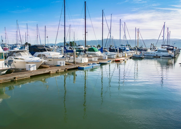 sailboats at a marina with blue sky and water