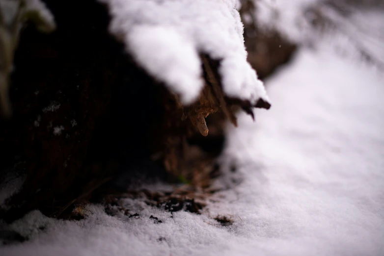 a view of snow that has fallen and covered wood