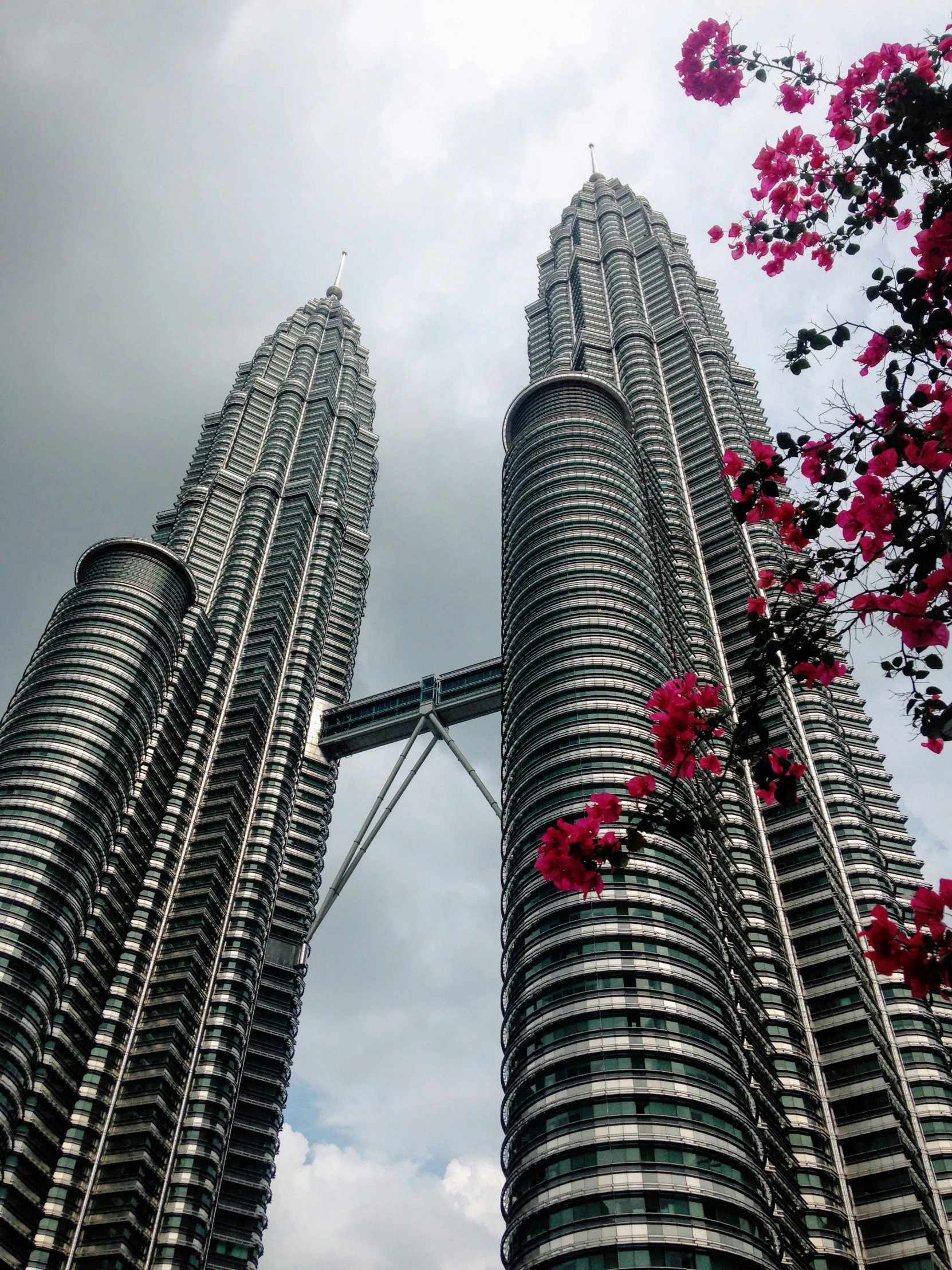 two tall towers with windows, with pink flowers