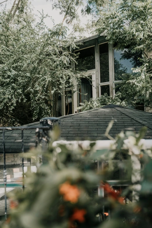 the roof of an old house is covered in greenery