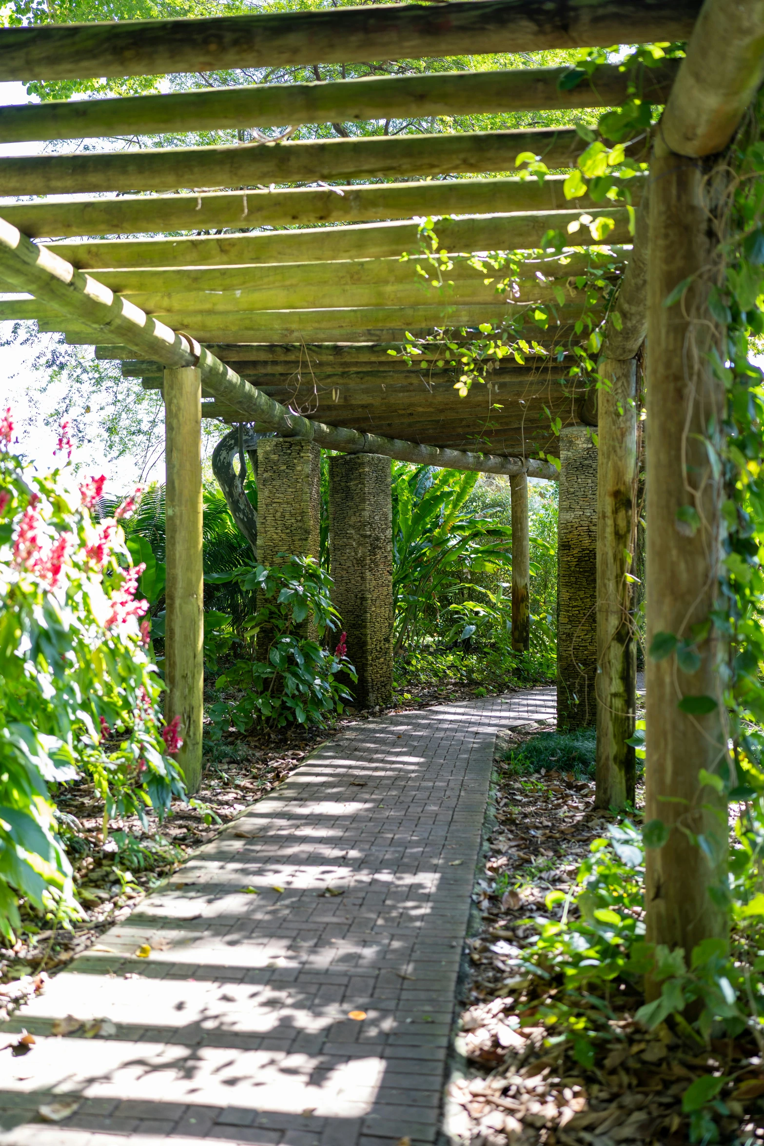 an outdoor pergolian surrounded by green plants and flowers