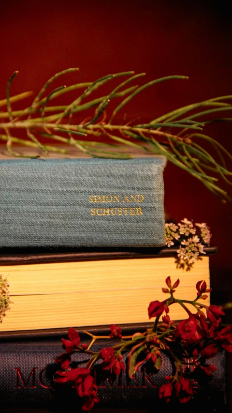 a book is displayed on a stack of books