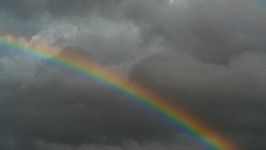 a bird sits under a rainbow in a stormy sky