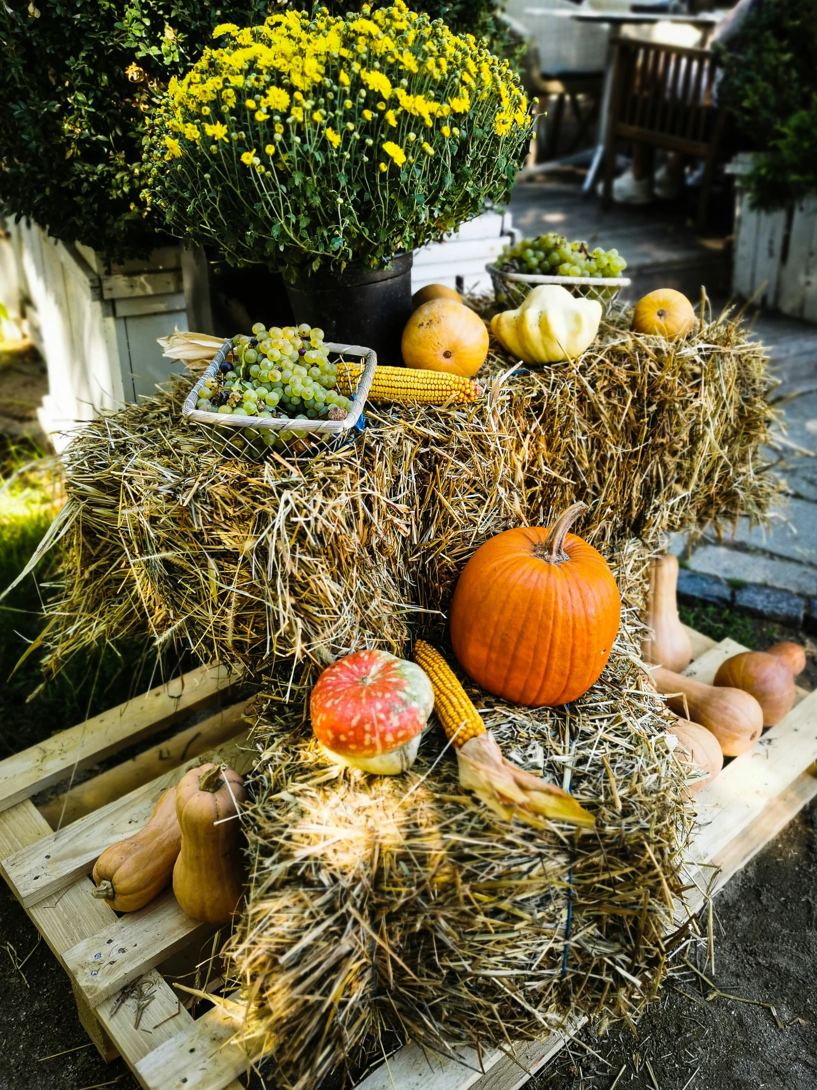 a crate filled with hay filled with lots of fruit