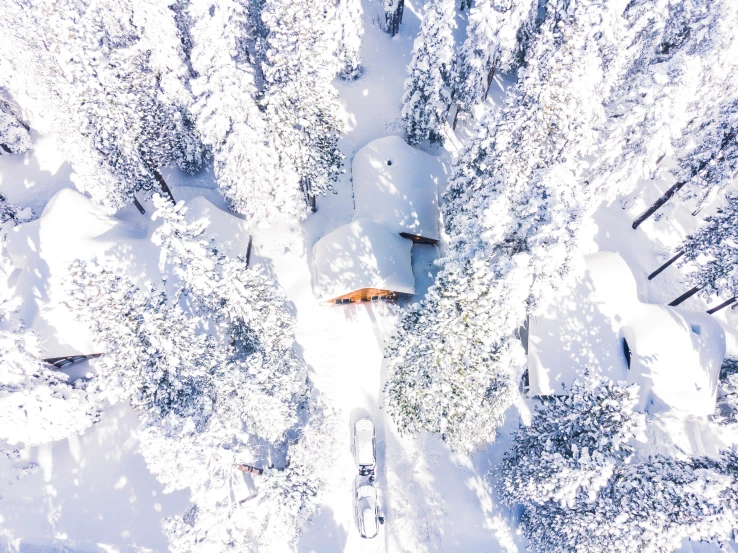 an aerial view of a forest and its snow covered banks