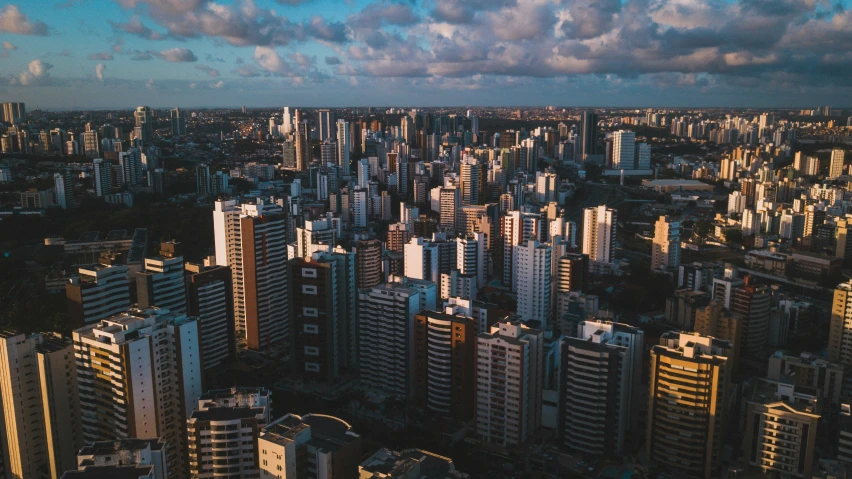 the view of tall buildings is almost hidden