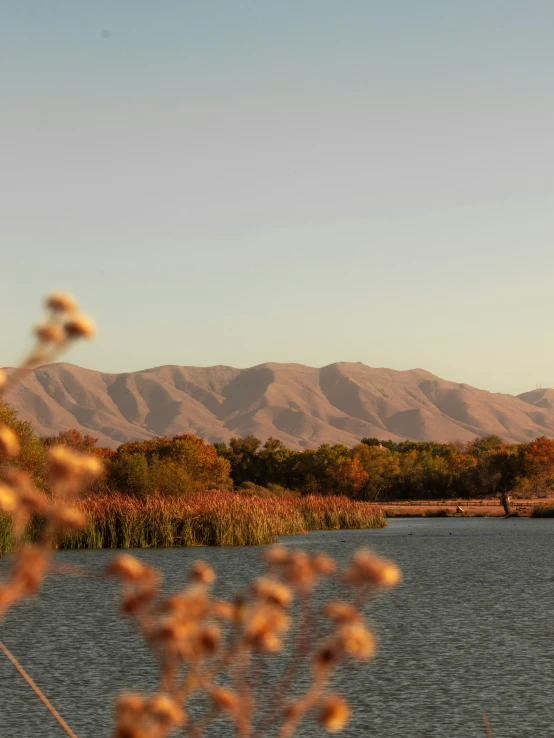 a boat is on the water with a mountain range in the background