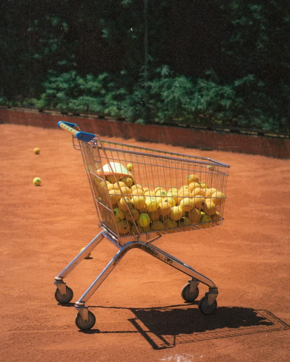 the grocery basket has apples inside of it