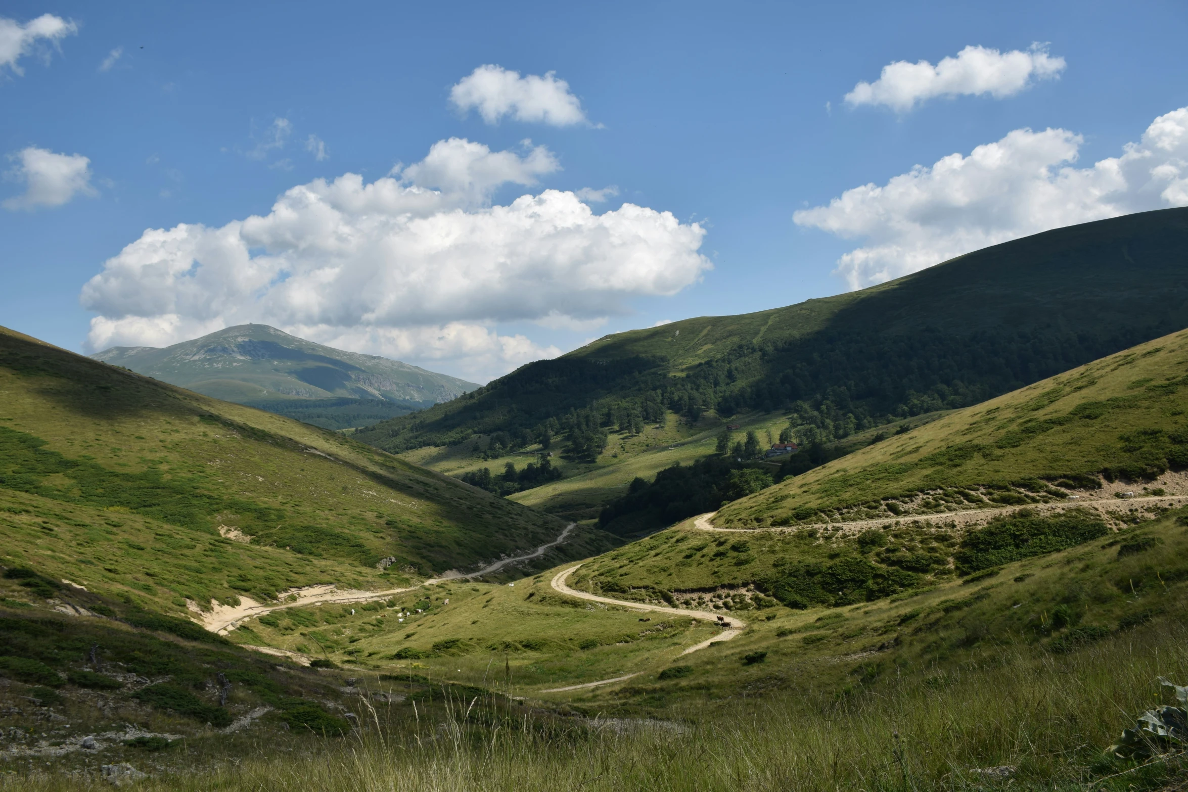 there are mountains and grassy valley with a road going through it