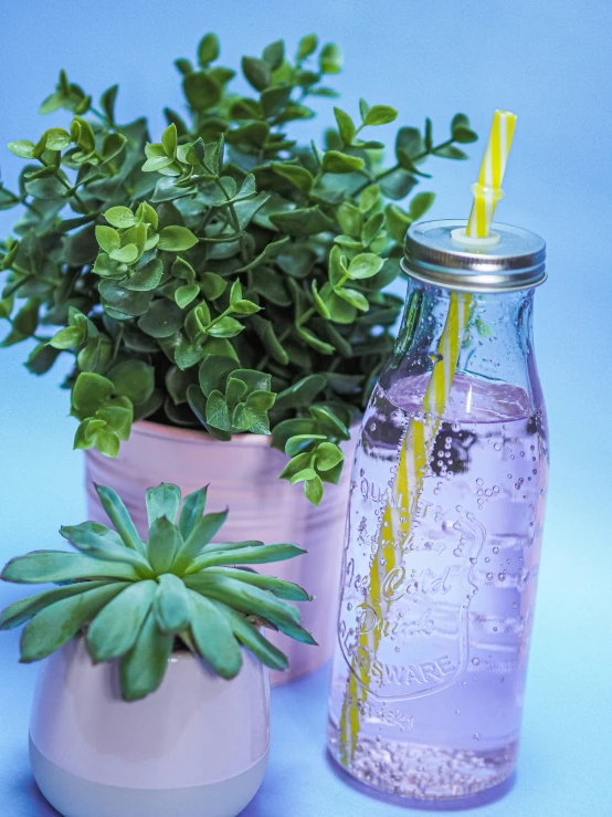 plants in two planters one has a yellow straw