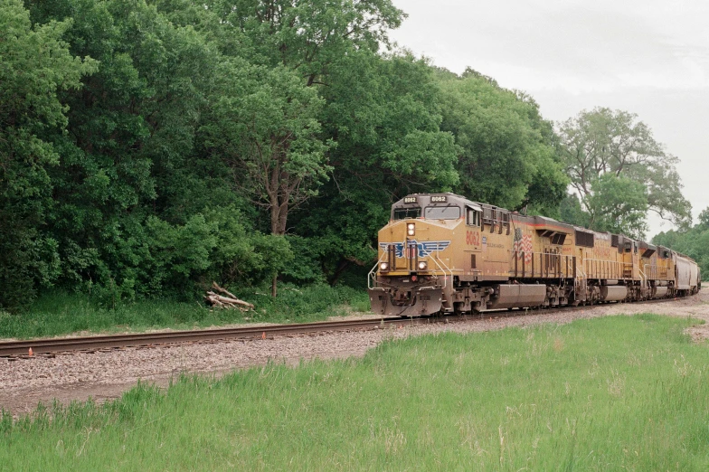 a train is coming down the tracks and is making its way through the woods