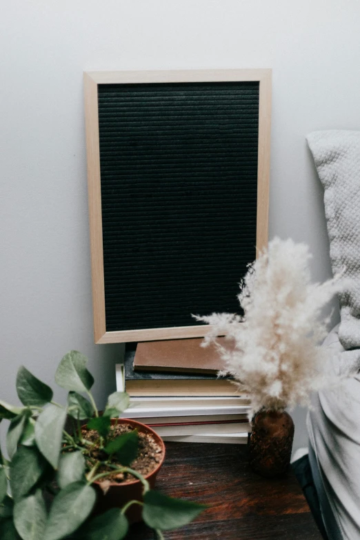 a desk with a plant and a stack of books