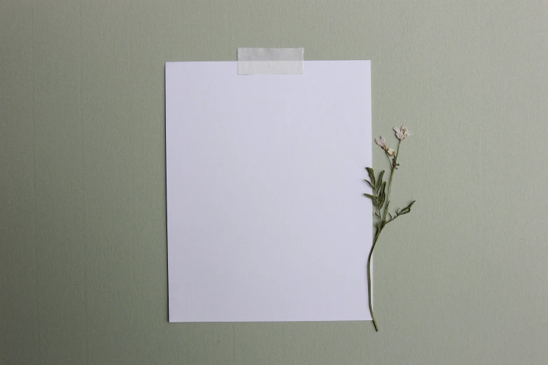 a piece of white paper and some type of flower on a desk