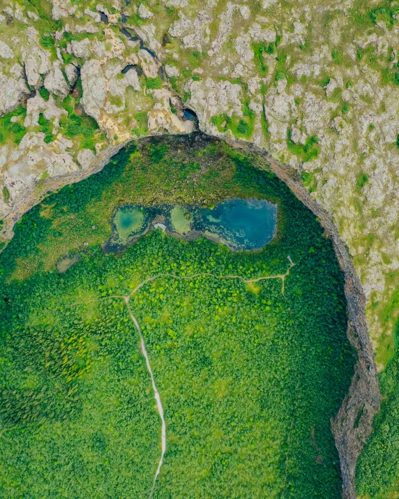 green land with a circle shaped in the middle of it