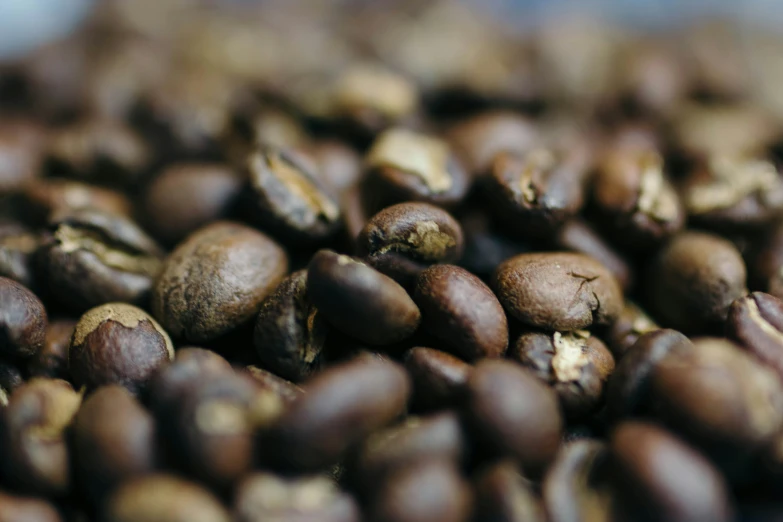 the top half of a large quantity of coffee beans